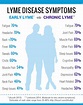 Lyme Disease Symptoms | LymeDisease.org