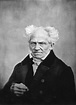 The Power of Schopenhauer – Lessons from History – Medium
