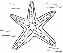 Starfish Printable Coloring Pages