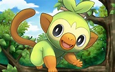15 Interesting And Amazing Facts About Grookey From Pokemon - Tons Of Facts