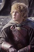 Merry + Pippin - Lord of the Rings Photo (3458091) - Fanpop