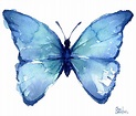 Download HD Blue Butterfly Png Free Download - Blue Butterflies ...