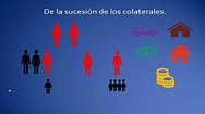 La sucesión de los colaterales. - YouTube