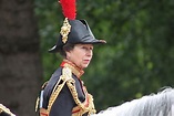 Royal Family Fairy Tale as Britain's Princess Anne Adopts a Horse in Need
