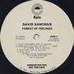 David Sancious / Forest Of Feelings (LP), Epic | 中古レコード通販 大阪 Root Down ...