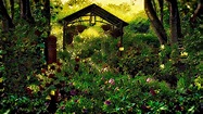Garden Beauty | Smithsonian Photo Contest | Smithsonian Magazine