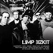 Limp Bizkit - Icon (CD) - Amoeba Music