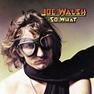 Ordinary Average Guy: Joe Walsh at 75 - Rock and Roll Globe