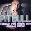 Pitbull - I Know You Want Me (Calle Ocho) | Releases | Discogs
