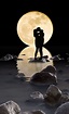 Love Couples in Moonlight Wallpapers on WallpaperDog