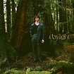 ‎Daylight - Single - Album by David Kushner - Apple Music