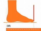 GUIA DE TALLAS - Podoortosis - Fabricantes Calzado Ortopédico