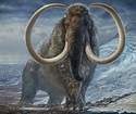 Life-cycle of Alaskan wooly mammoth documented in new analysis of his ...