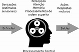 Processamento de Informações – Laboratório de Usabilidade e Fatores Humanos