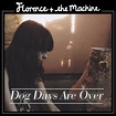 Lista 95+ Foto Letras De Florence + The Machine Dog Days Are Over Alta ...