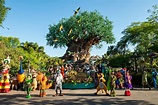 Disney’s Animal Kingdom Theme Park Celebrates 25 Years Showcasing the ...