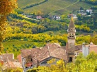 Motovun and Flavours of Istria on TourMega - TourMega