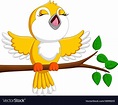 illustration of Cute bird singing. Download a Free Preview or High ...