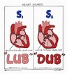 ALL FOR NURSING: MS: Heart Sound
