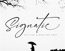 30+ Free Signature Fonts (Script Fonts to Download Now) – Sciencx