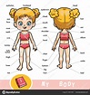 Imágenes: partes del cuerpo humano | Diccionario visual para niños ...