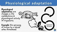 Physiological adaptation - Definition and Examples - Biology Online ...