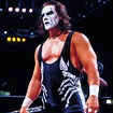 Sting on Twitter | Sting wcw, Wcw wrestlers, Wrestling superstars