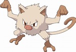 Mankey | Pokémon Wiki | FANDOM powered by Wikia