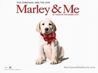 Marley+&+Me+ +Soundtrack+by +Theodore+Shapiro 001 - YouTube