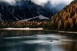 Le più belle foreste d’Italia - Focus.it