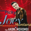 Joey Montana con Akon y Mohombi: Picky, la portada de la canción