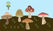 Todo lo que necesitas saber sobre el Reino Fungi