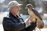 Photos: A falconer in Minnesota | MPR News