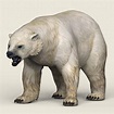 Polar Bear - 3D Model by TreeWorld3d