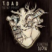 Starting Now by Toad the Wet Sprocket (Single, Alternative Rock ...