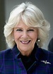 Camilla, queen consort of the United Kingdom | Biography, Wedding ...