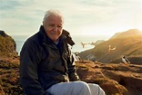 Sir David Attenborough to present BBC series focusing on the British ...