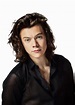 Harry Styles PNG Transparent Images - PNG All