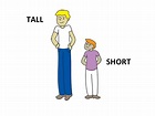 Tall and Short | Fort Hill Integrated Primary School