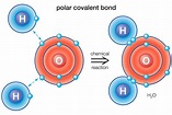 Definition and Examples of a Polar Bond