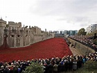 Centenário da 1ª Guerra Mundial na Torre de Londres | VEJA