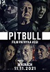 Pitbull (2021) - recenzja filmu - naEKRANIE.pl
