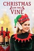 Christmas on the Vine (2020) - Streaming, Trama, Cast, Trailer