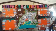 Proyecto de ecología (Periódico mural) ~ Cobao 02 El Espinal