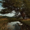 S. Carey: Hundred Acres (LP) – jpc