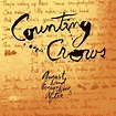 Letra de Mr. Jones en español - Counting Crows - Musica.com