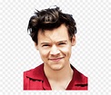 Harry Styles Camisa Roja , Png Download - Harry Styles In Red Shirt ...