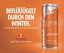 Die neue Red Bull Winter Edition - Getränkelieferant für die Region ...