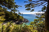 5 destinos imprescindibles en la Isla de Vancouver - LocalAdventures