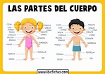 Las partes del cuerpo para niños - ABC Fichas